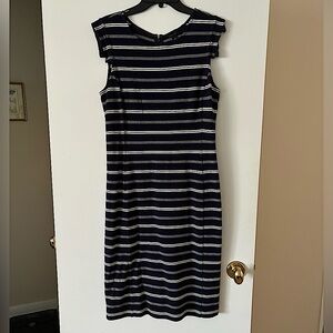 Ann Taylor Navy and White Sheath Dress